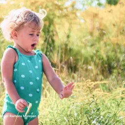 Alergic la ambrozie? Spune stop ambroziei! 3 alergic_la_ambrozie_spune_stop_ambroziei_dr_ramona_muresan_640px